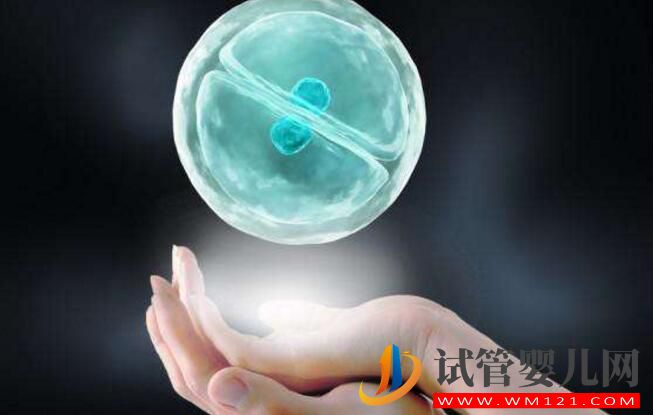 试管婴儿胚胎移植前、后都有哪些注意事项和常见的问题(图1) 淄博试管婴儿胚胎移植前、后都有哪些注意事项和常见的问题(图1)