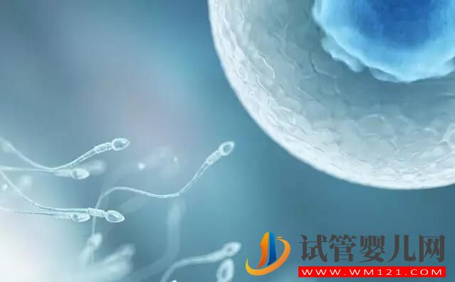 试管婴儿检查报告有效期是多长?各项检查都一样吗(图2) 试管婴儿检查报告有效期是多长?各项检查都一样吗(图2)