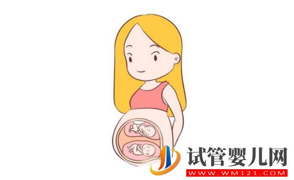 试管婴儿双胞胎的几率有多大,费用一样吗?(图2) 试管婴儿双胞胎的几率有多大,费用一样吗?(图2)