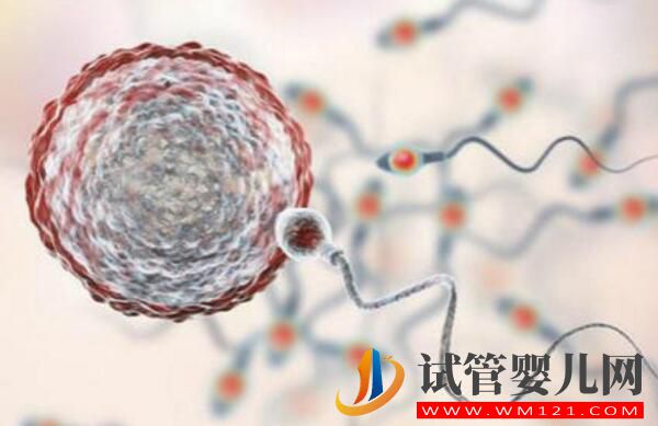 做试管婴儿听到的这些术语你知道是什么意思吗?(图1) 做试管婴儿听到的这些术语你知道是什么意思吗?(图1)
