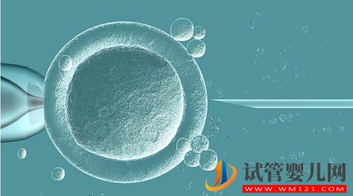做试管婴儿听到的这些术语你知道是什么意思吗?(图2) 做试管婴儿听到的这些术语你知道是什么意思吗?(图2)