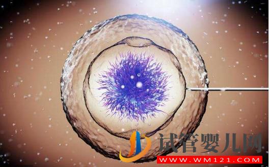 试管婴儿成功率详细介绍,高卵子利用率提高成功率(图2) 试管婴儿成功率详细介绍,高卵子利用率提高成功率(图2)