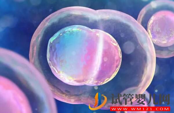 试管婴儿移植后,胚胎多久能着床?(图1) 试管婴儿移植后,胚胎多久能着床?(图1)