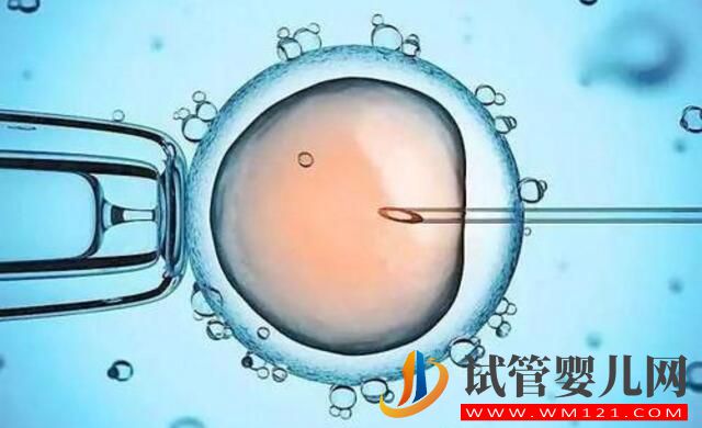 试管婴儿移植后,胚胎多久能着床?(图3) 试管婴儿移植后,胚胎多久能着床?(图3)