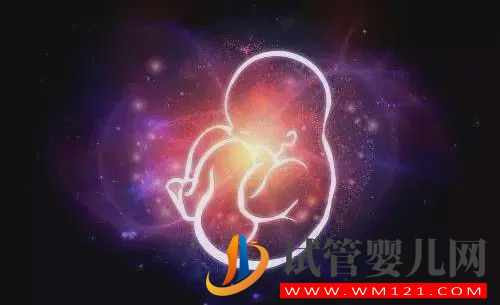 不孕不育的门诊人满为患，为什么不孕症发病率变得如此之高？(图1)