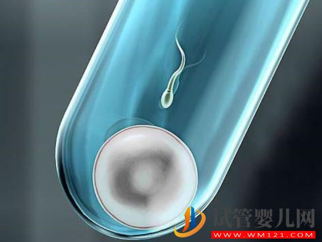 男性少精弱精是做一代试管还是二代试管?(图1) 男性少精弱精是做一代试管还是二代试管?(图1)