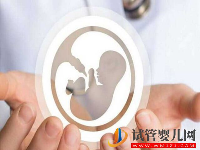 男性少精弱精是做一代试管还是二代试管?(图2) 男性少精弱精是做一代试管还是二代试管?(图2)