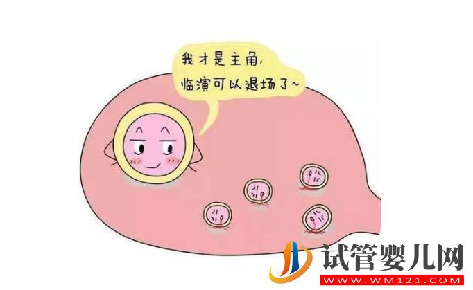 卵泡成熟遇到障碍怎么办 有什么有效的办法尽快怀孕?(图3) 卵泡成熟遇到障碍怎么办 有什么有效的办法尽快怀孕?(图3)