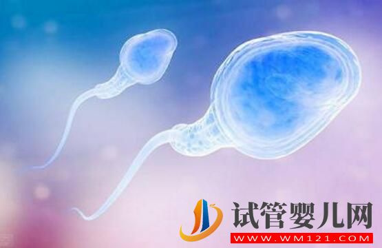 男性备孕期间,该干什么 不该干什么(图1) 男性备孕期间,该干什么 不该干什么(图1)