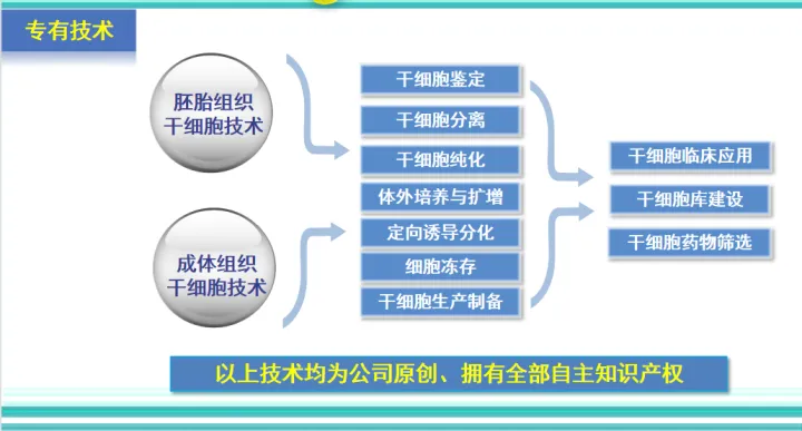干细胞最全的科普,拿走不谢!(图6) 干细胞最全的科普,拿走不谢!(图6)