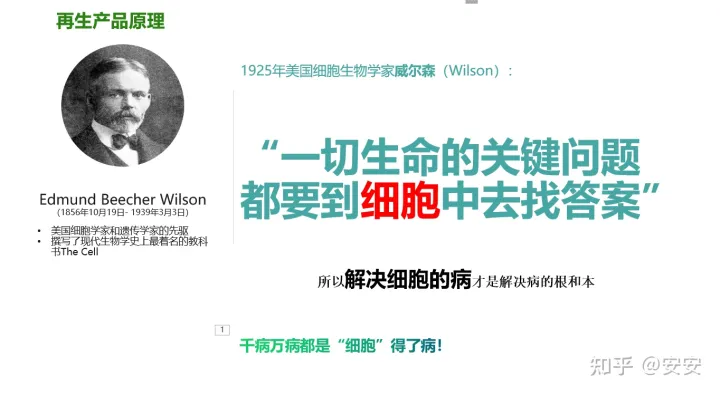 干细胞是什么?(图2) 干细胞是什么?(图2)