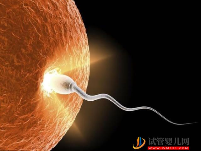 和田做试管婴儿胚胎移植的成功率怎么样?(图1) 和田做试管婴儿胚胎移植的成功率怎么样?(图1)