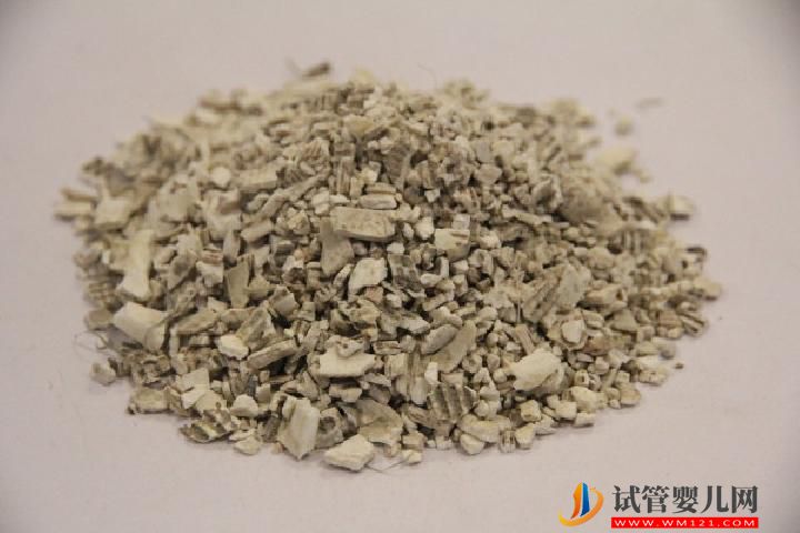 用什么泡水喝可以补肾壮阳 这4物泡水喝最能补肾壮阳-易网<a>健康养生</a>网 用什么泡水喝可以补肾壮阳 这4物泡水喝最能补肾壮阳(图2)