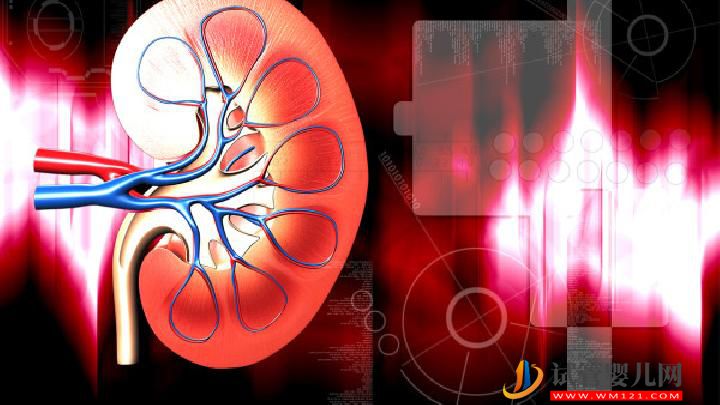 男性吃菟丝子可以壮阳吗 菟丝子怎么吃壮阳效果最好-易网<a>健康养生</a>网 男性吃菟丝子可以壮阳吗 菟丝子怎么吃壮阳效果最好(图2)