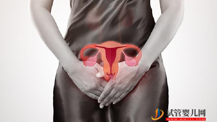 女性子宫什么情况下不能过性生活 子宫六大特殊时期叫停夫妻性生活-试管婴儿网 女性子宫什么情况下不能过性生活 子宫六大特殊时期叫停夫妻性生活(图1)