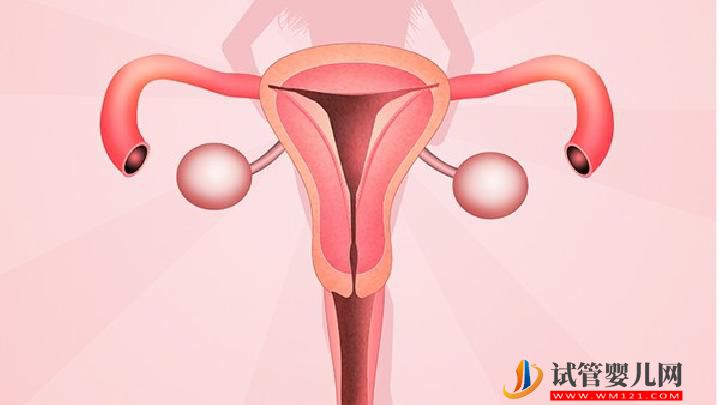 女性月经量少饮食上有哪些注意事项 月经量少的女性注意6个事项-易网<a>健康养生</a>网 女性月经量少饮食上有哪些注意事项 月经量少的女性注意6个事项(图2)