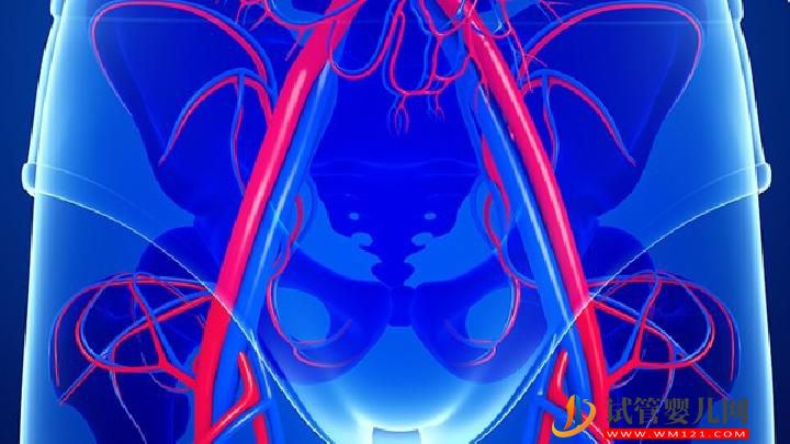 哪什么汤可以调理月经不调?5种高汤可以调理月经不调-试管婴儿网 哪什么汤可以调理月经不调?5种高汤可以调理月经不调(图1)