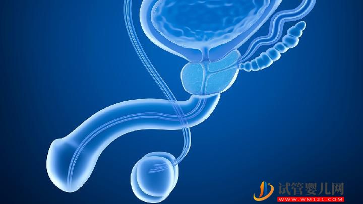 为什么现在男性不育发病率这么高?男性不育原因有9个(图1) 为什么现在男性不育发病率这么高?男性不育原因有9个(图1)