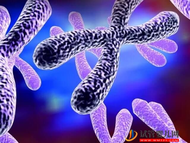 女性1号染色体臂间倒位属于异常吗?(图1) 女性1号染色体臂间倒位属于异常吗?(图1)