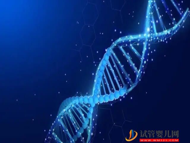 人体内的1号染色体是否是决定了胎儿的智力?(图1) 人体内的1号染色体是否是决定了胎儿的智力?(图1)