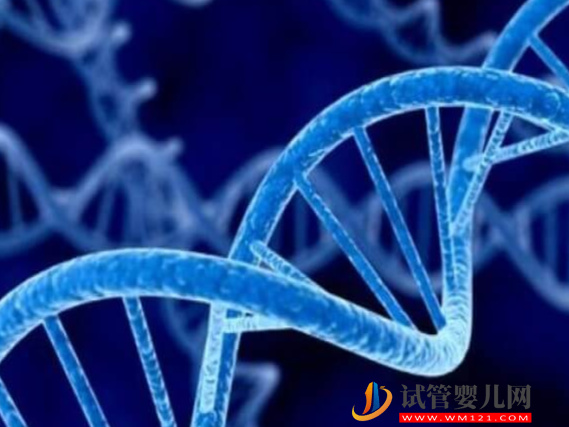 胎儿1号染色体和6号平衡易位有办法解决吗?(图1) 胎儿1号染色体和6号平衡易位有办法解决吗?(图1)