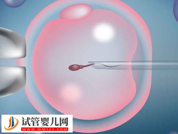 新余市权威生殖中心分享,成功率平均50%(图2) 新余市权威生殖中心分享,成功率平均50%(图2)