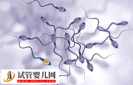 供精试管对女性的伤害有哪些?附降低供精试管对身体伤害的方法(图2) 供精试管对女性的伤害有哪些?附降低供精试管对身体伤害的方法(图2)