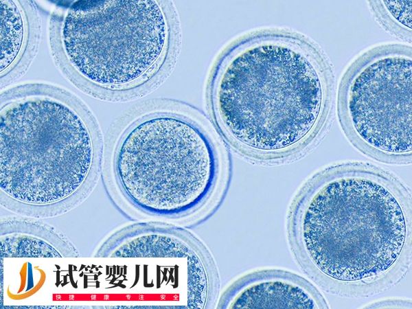 西宁高龄失独女性做供卵需不需要等(图1)