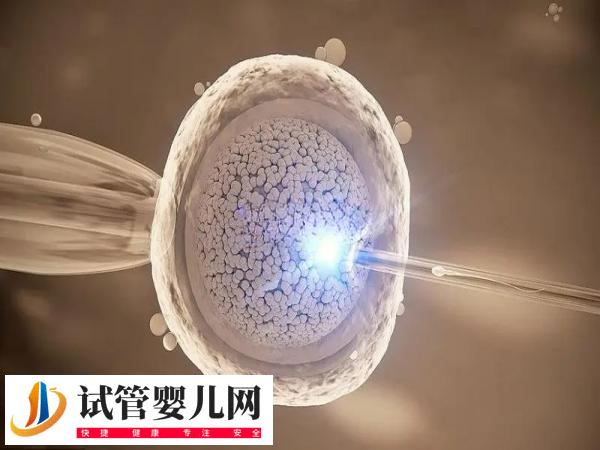 前往北京做试管还是天津比较好(图1)