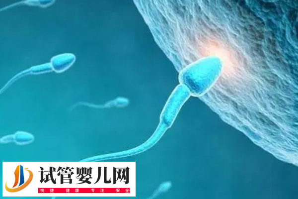 前往北京做试管还是天津比较好(图2)