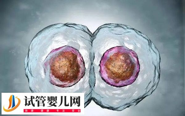 试管降调后还能不能自然怀孕(图1)