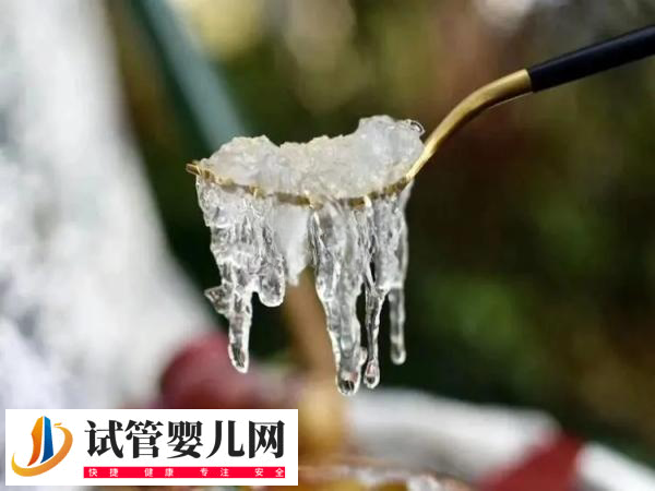 胚胎移植前吃燕窝的好处(图1)