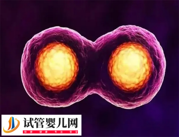 日本试管婴儿双胞胎几率有多大(图3)