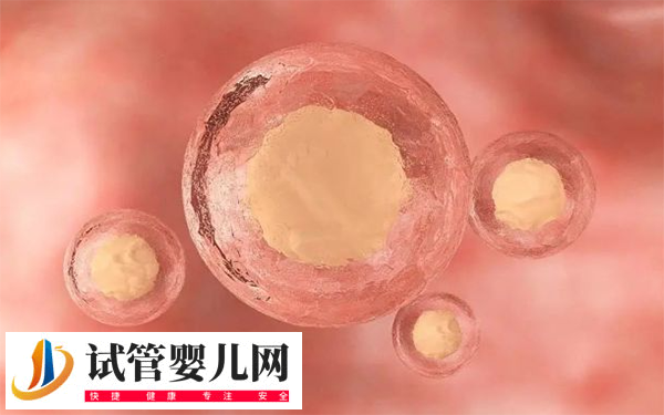 马来西亚试管超长方案是什么(图3)