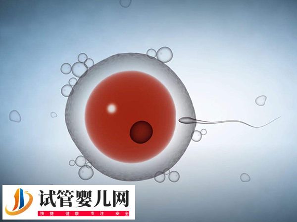试管促排取卵有啥感觉(图1)