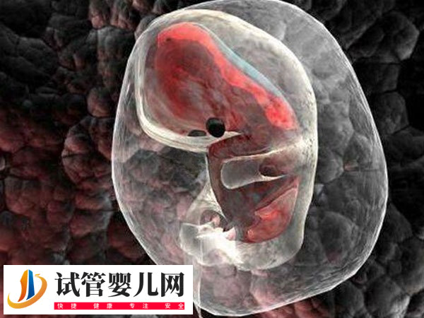 泰国试管婴儿技术好不好(图1)