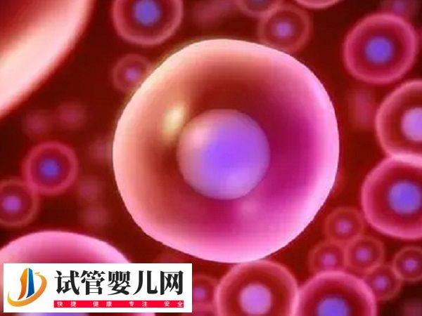 在俄罗斯做试管步骤是什么(图1)