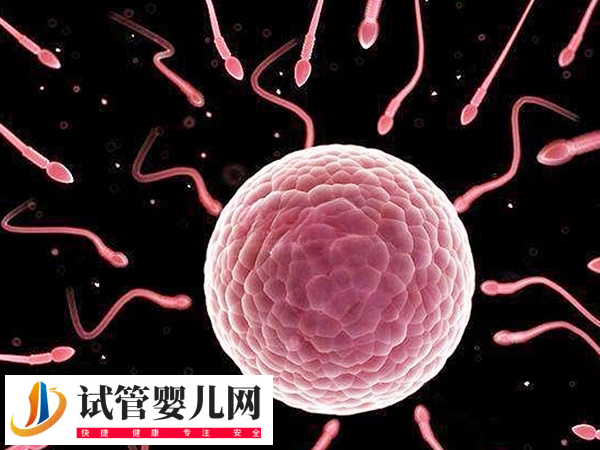 在俄罗斯做试管步骤是什么(图2)