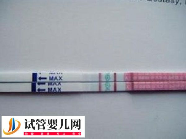 移植放2个胚胎的成活率(图4)