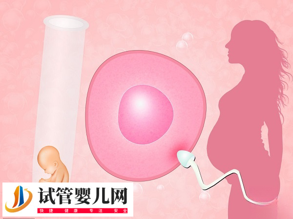 移植放2个胚胎的成活率(图5)