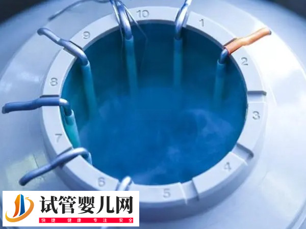 做试管医院会不会放错胚胎(图1)