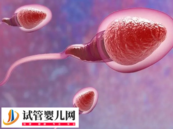 前往江门市中心医院做试管的技术如何(图1)