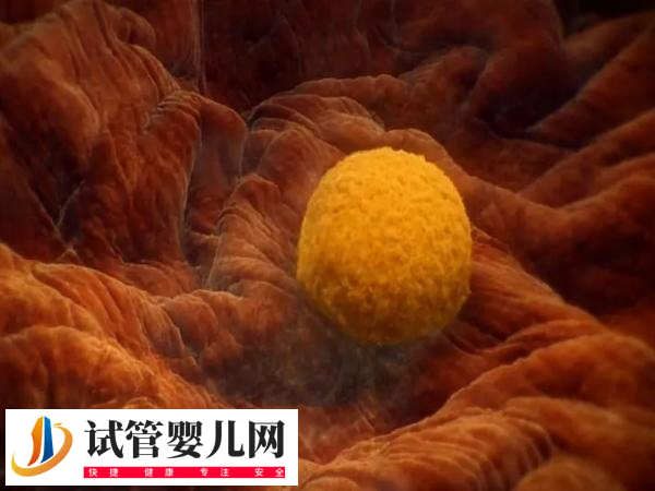 前往俄罗斯做试管移植技术好不好(图1)