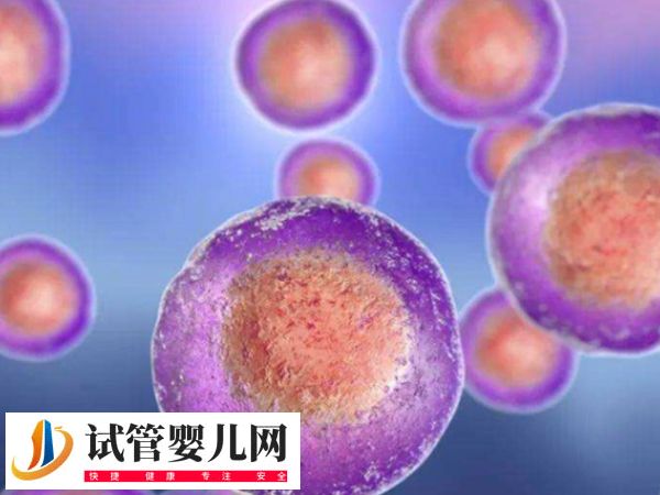 在美国做试管优质胚胎是啥样的(图2)