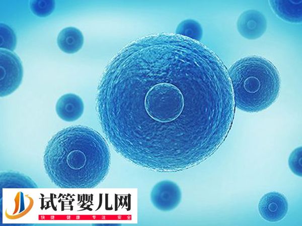 江苏宿迁能不能做试管婴儿(图1)