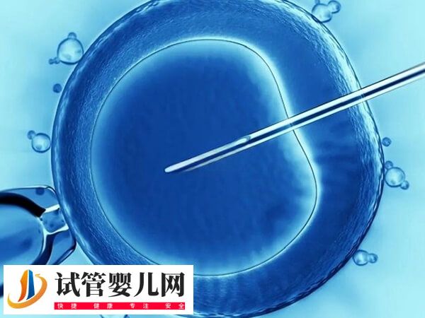 新鲜胚胎移植1-14天的症状有哪些(图1)