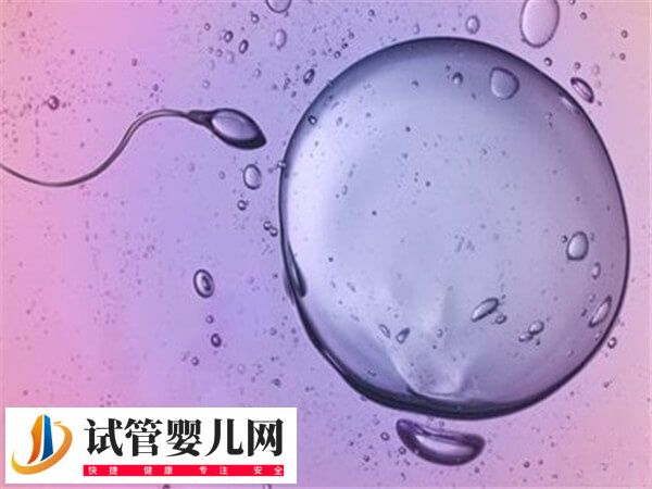 新鲜胚胎移植1-14天的症状有哪些(图3)