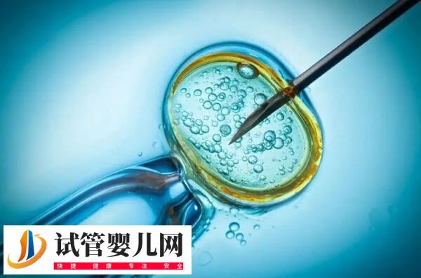 试管婴儿智商是不是比正常孩子低(图1)