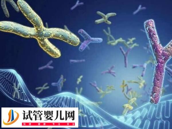Y染色体微缺失能否做试管
