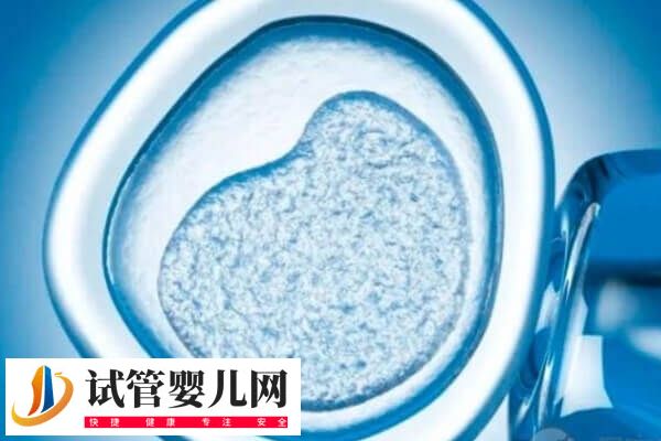 做试管胎停是胚胎质量问题(图2)